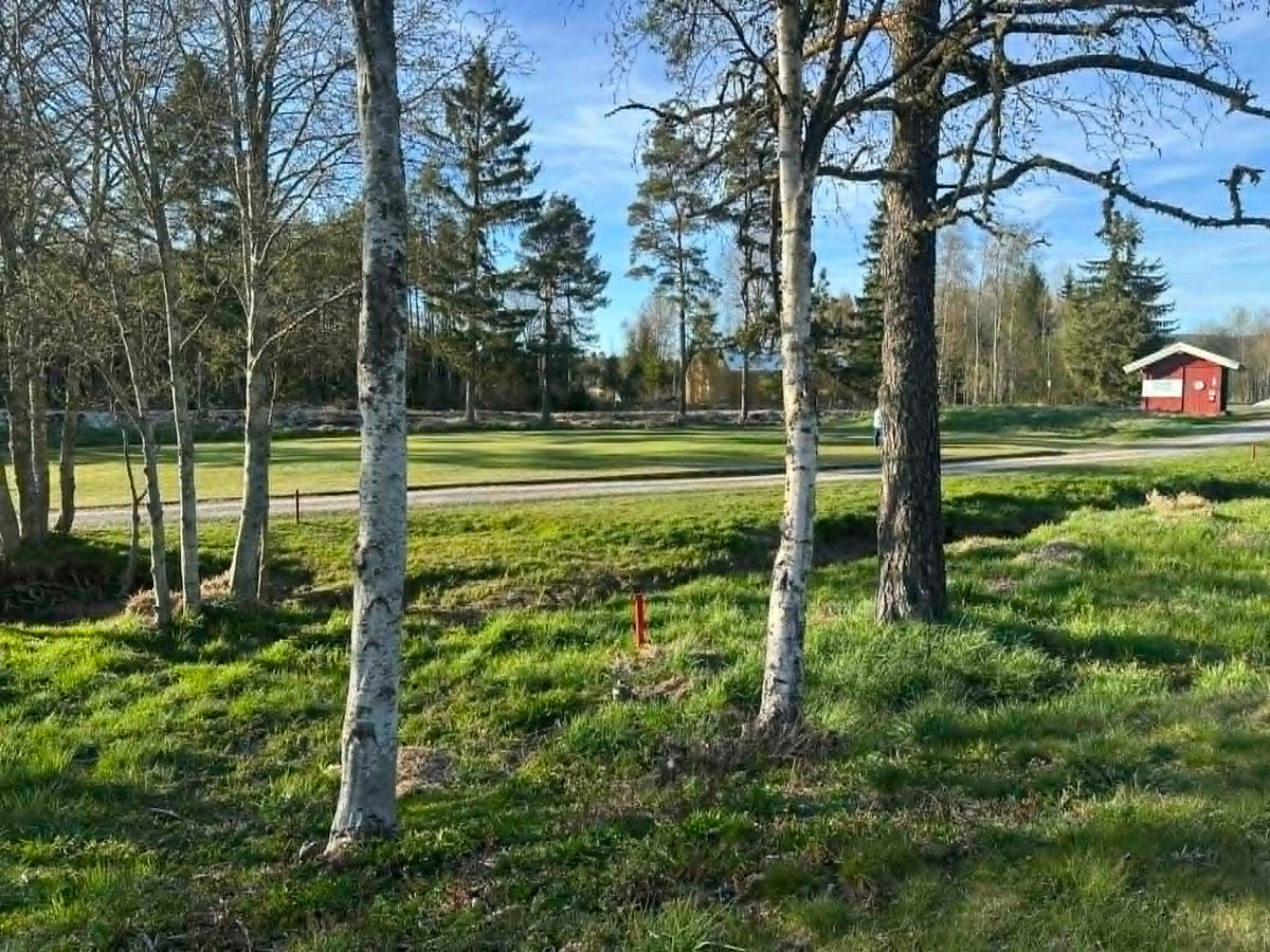 Avslutning 2026