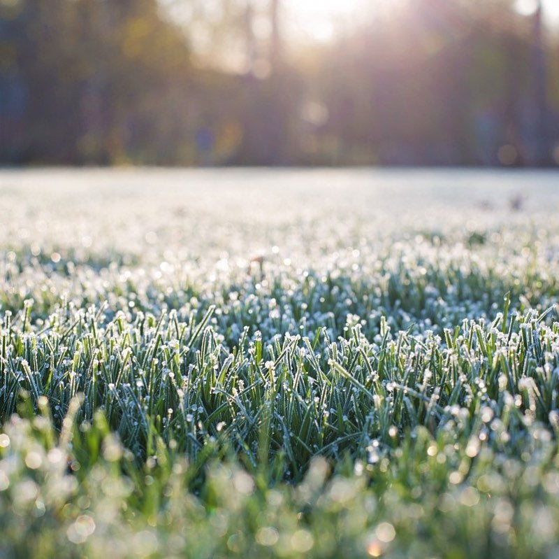 Regler ved frost på banen