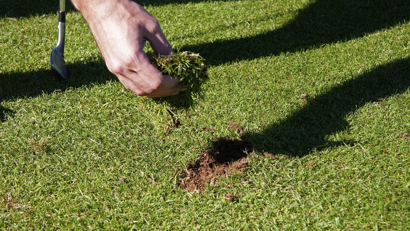 Hvorfor reparere divots?