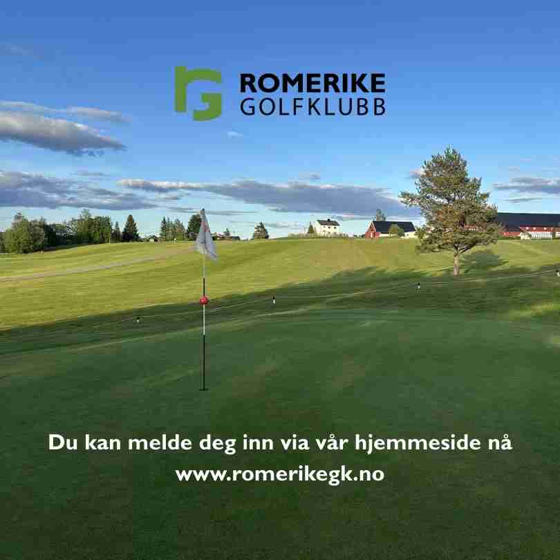 Vi forstår deg