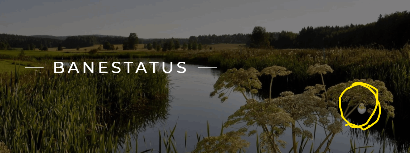 Kyllingen i egget ble funnet