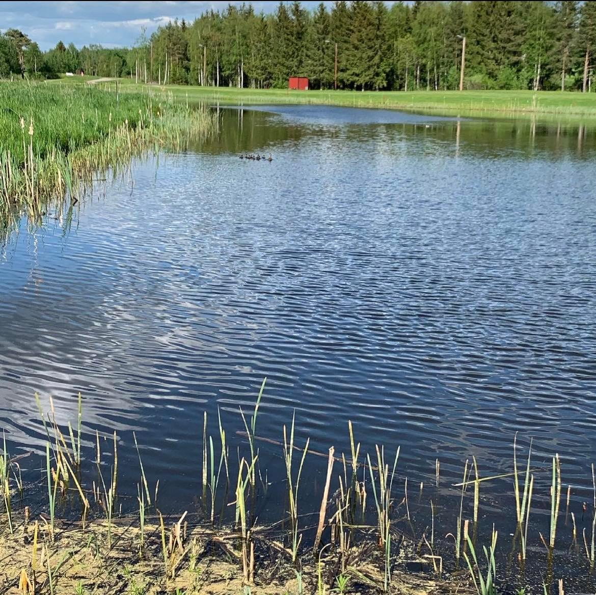 Prioriterte utbedringer av anlegget