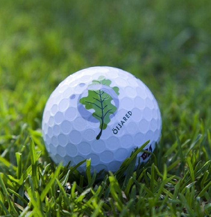 Golf tur til Sverige til våren